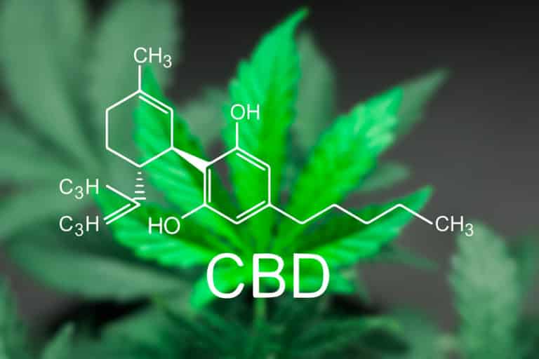 cbd cannabis