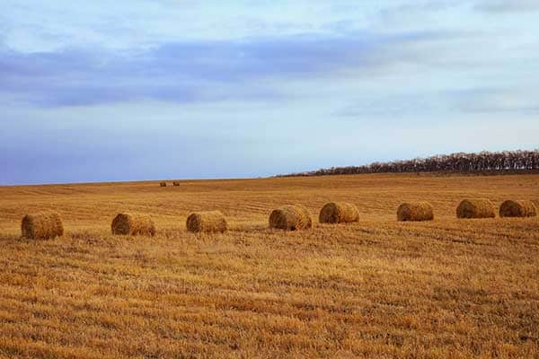 frais de notaire terrain agricole