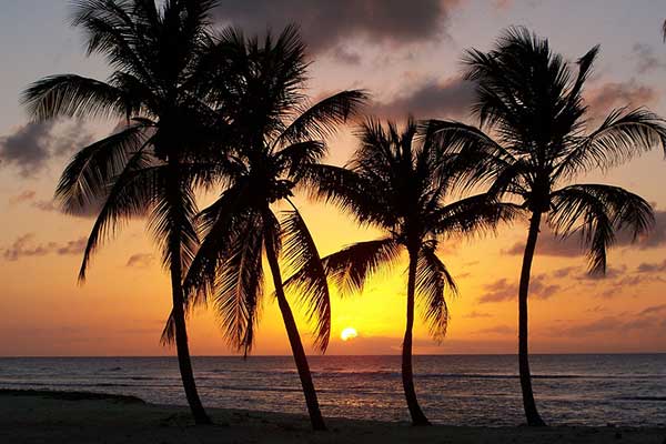 martinique ou guadeloupe