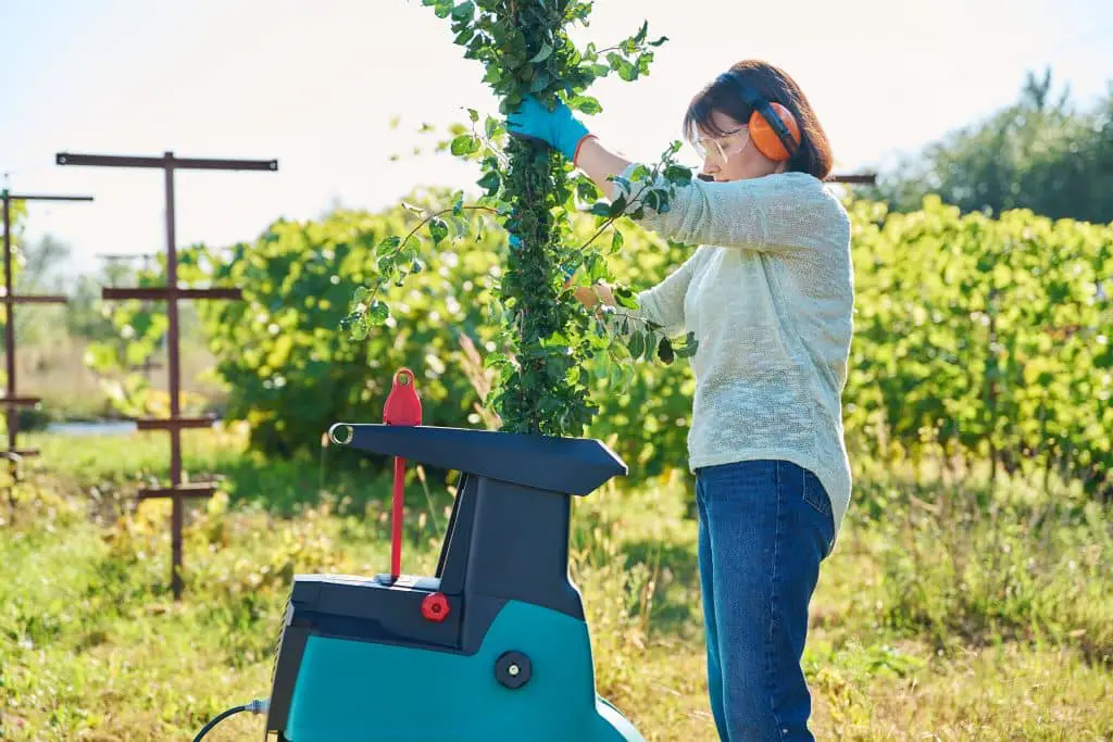 Woman Using Electric Garden Shredder For Branches And Bushes