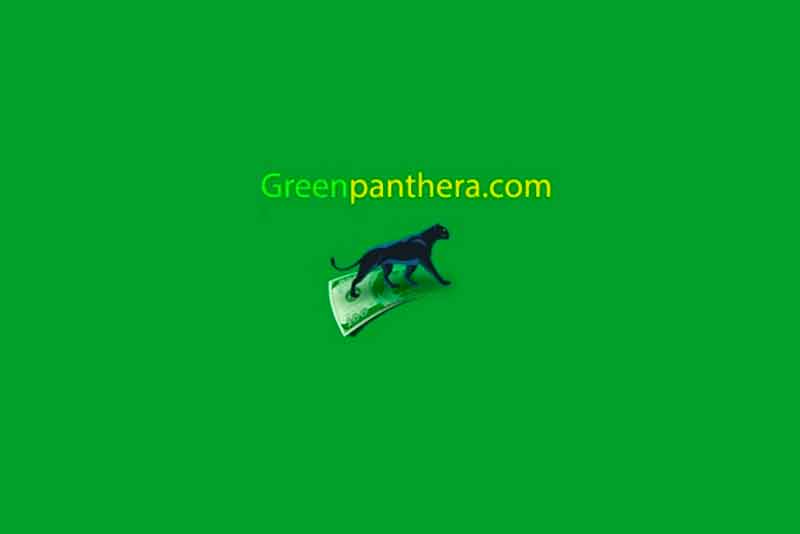 greenpanthera avis