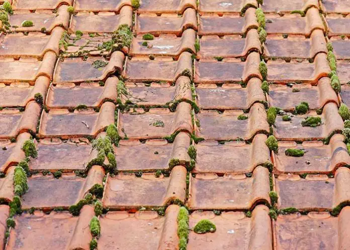 Démousser une toiture : comment procéder ? - Conseils d'experts