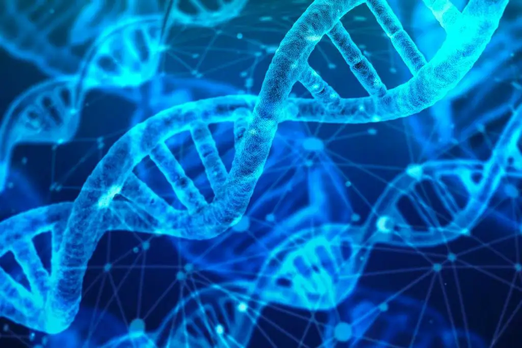 Quel test adn choisir pour établir ses origines