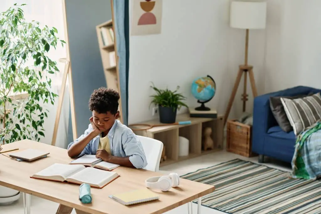 Boy Doing Homework In The Room