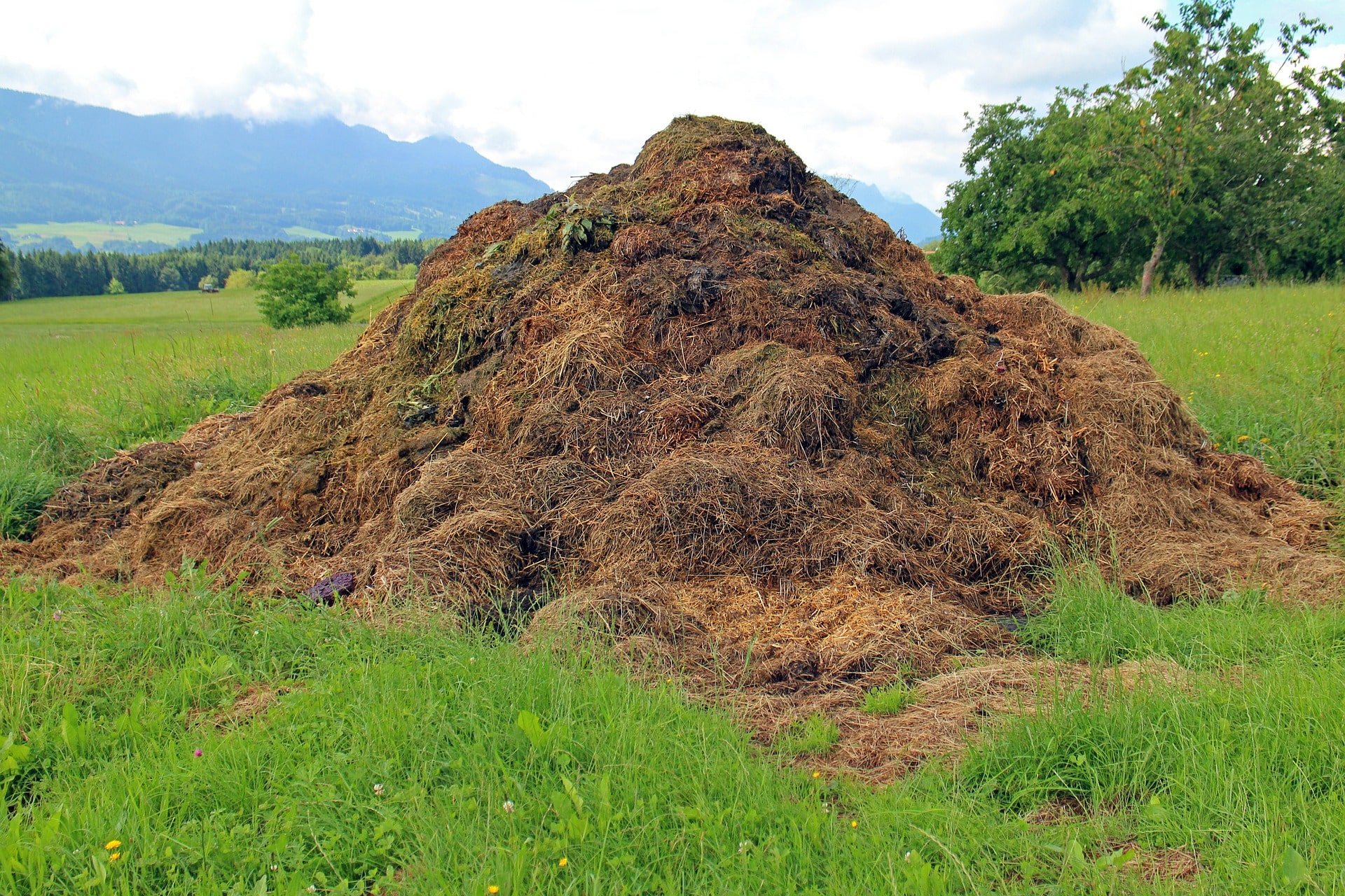 acheter du compost en vrac