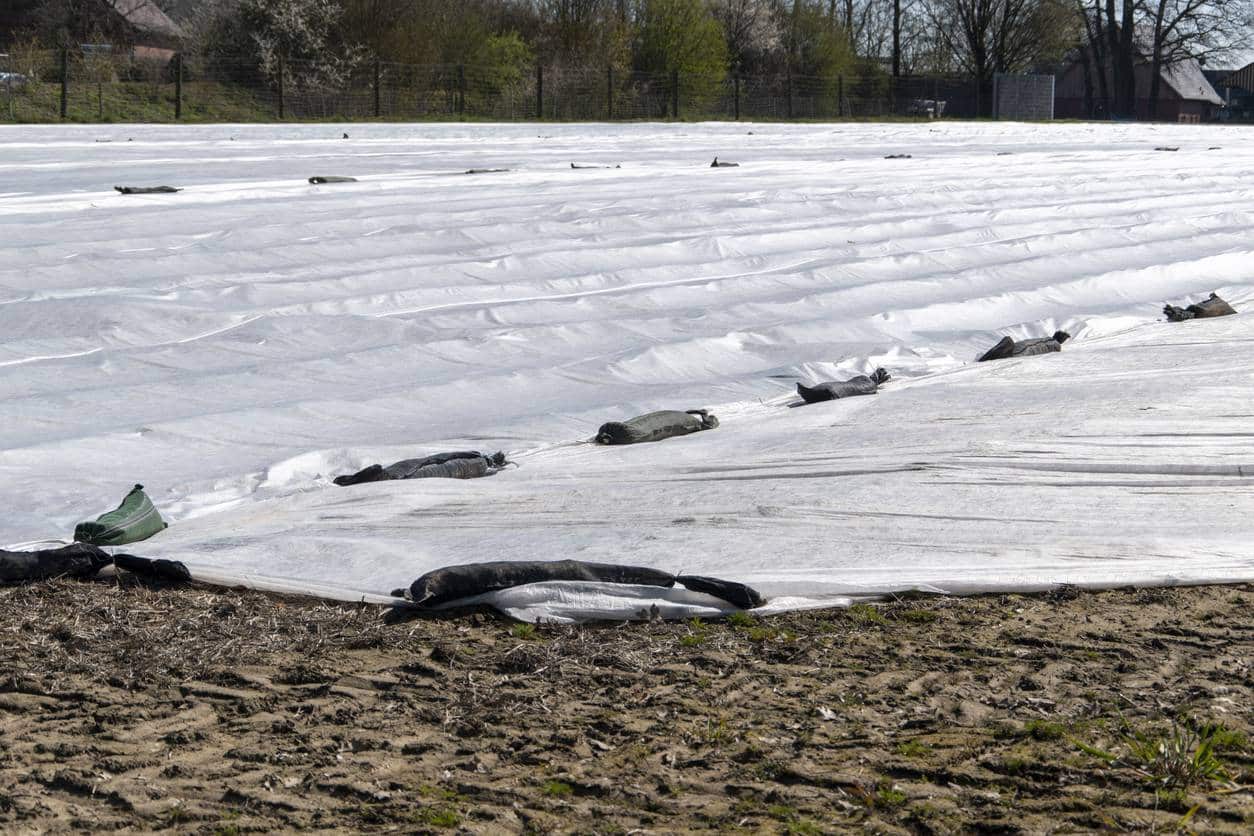 bache pour fosse agricole