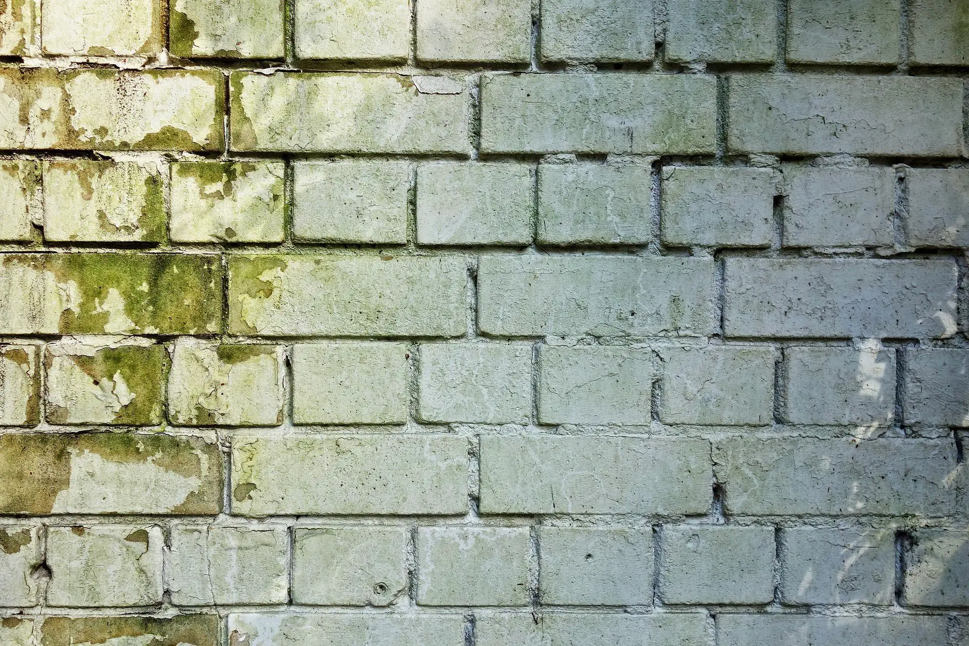 Brick Wall G24ebe2ba2 1920