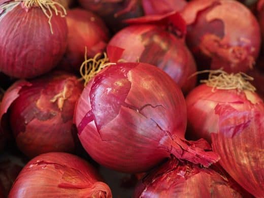Red Vegetable Onions 499066 1280