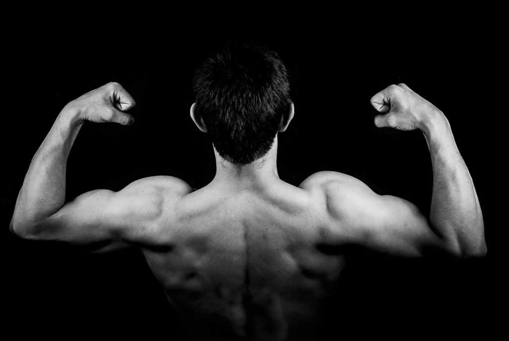 Meilleurs Exercices Pour La Muscu Du Dos