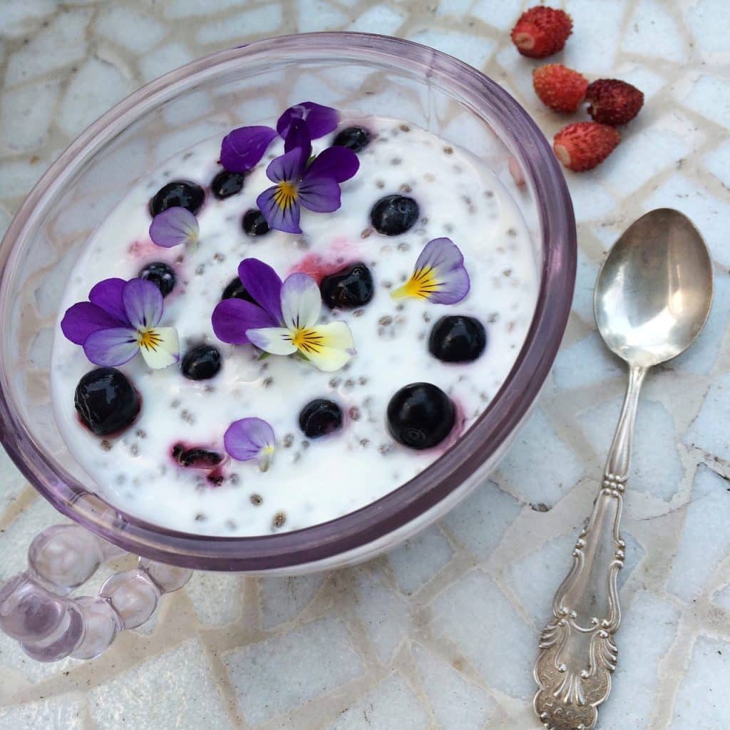 Recettes Graines De Chia