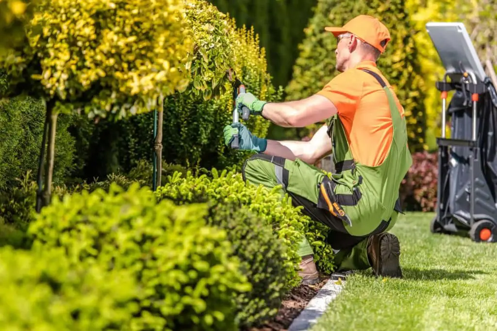 Aménagement Et Entretien Du Jardin
