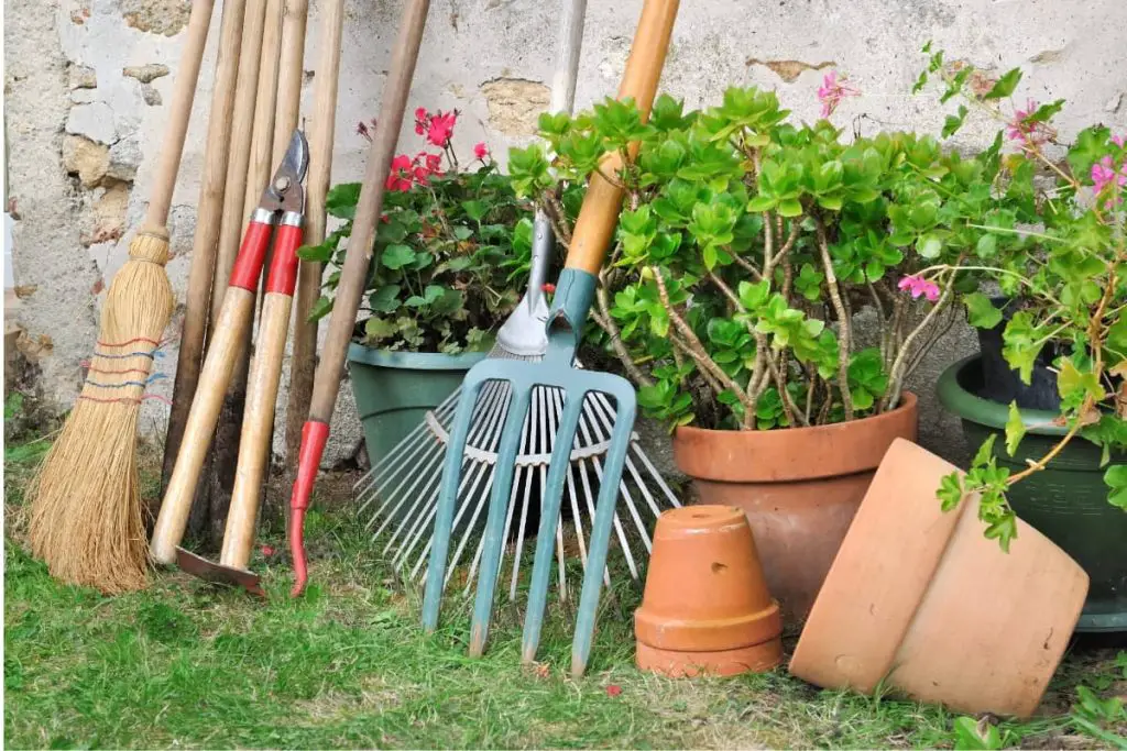 Voici un guide pratique pour entretenir votre jardin toute l'année