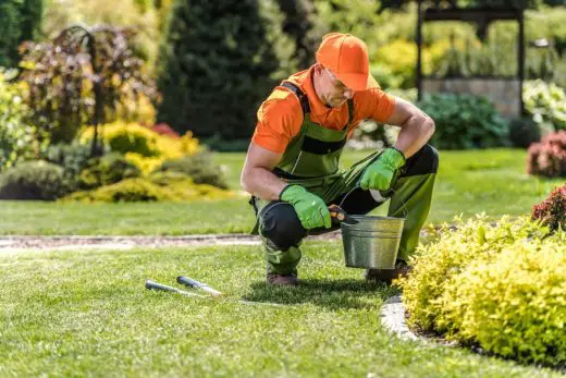 Voici un guide pratique pour entretenir votre jardin toute l'année