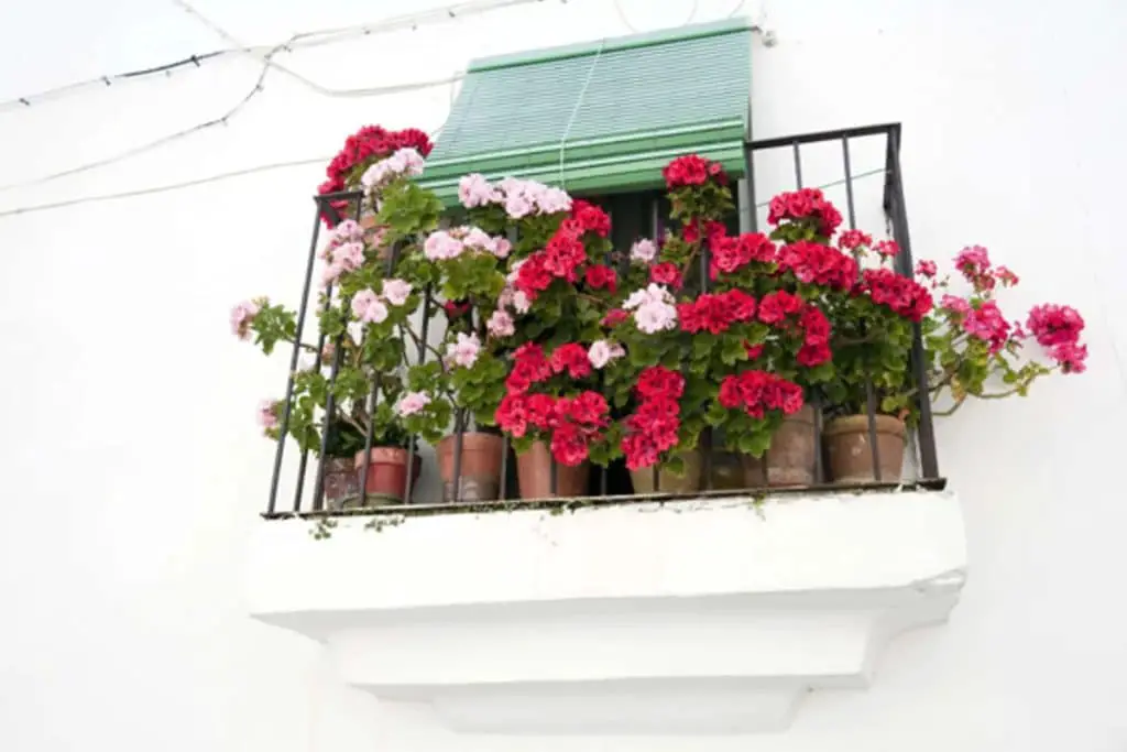 Créer Un Coin Verdure Sur Mesure