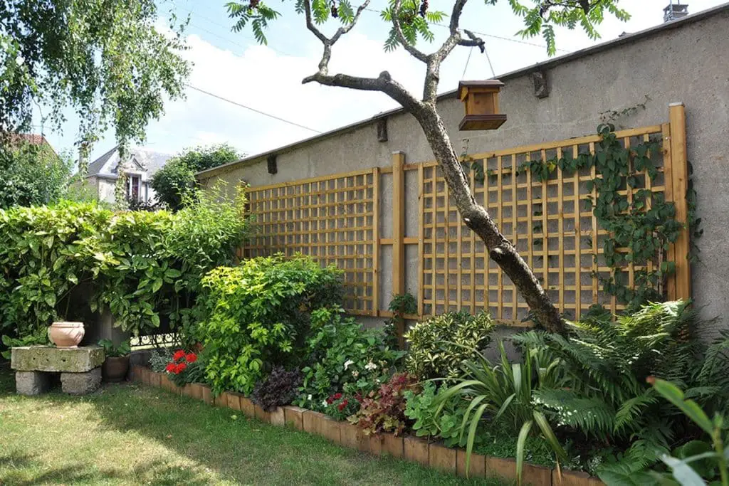 Jardins Muraux Faits En Treillis