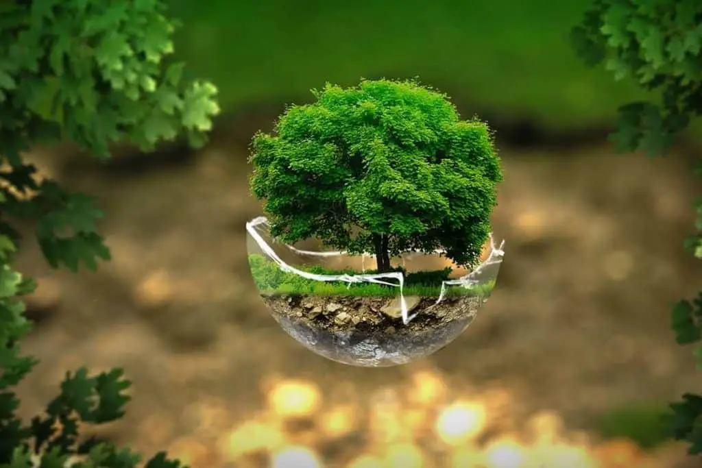 La Réduction De L'empreinte écologique