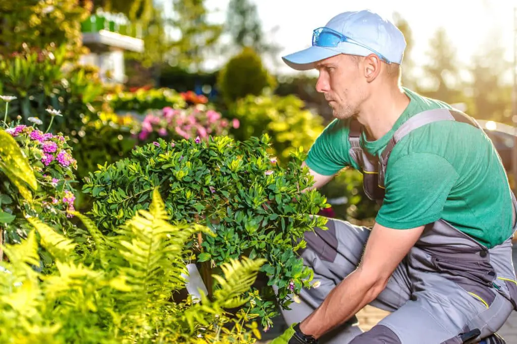 Faire Appel à Un Spécialiste Pour La Création Du Jardin