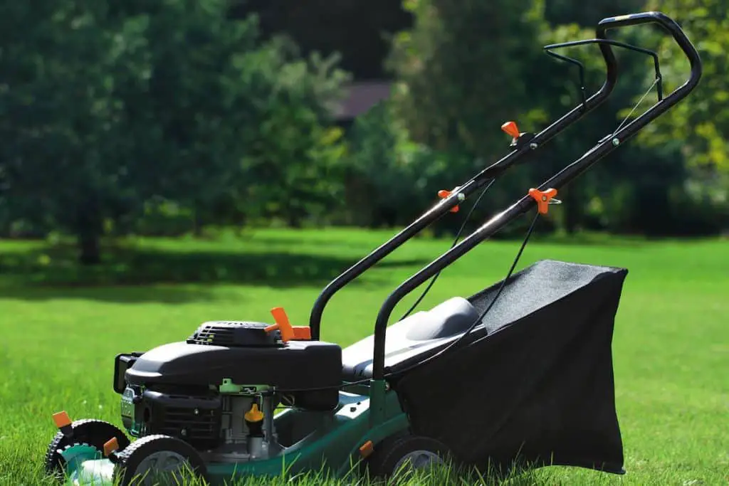 Programmer Des Entretiens Périodiques De Son Jardin