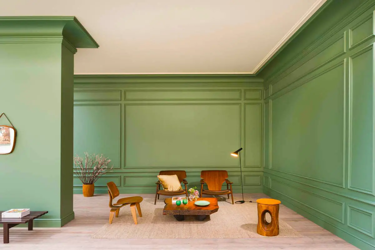 Salon moderne avec des murs verts et des meubles en bois.