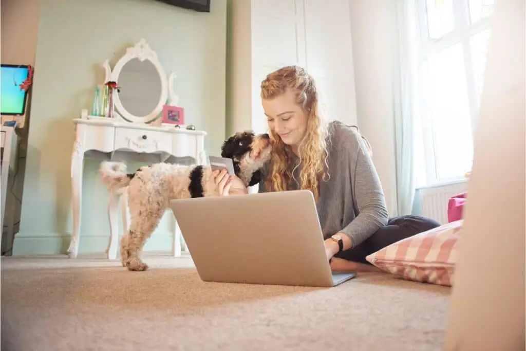 Assurance Chien Avantages Fiscaux