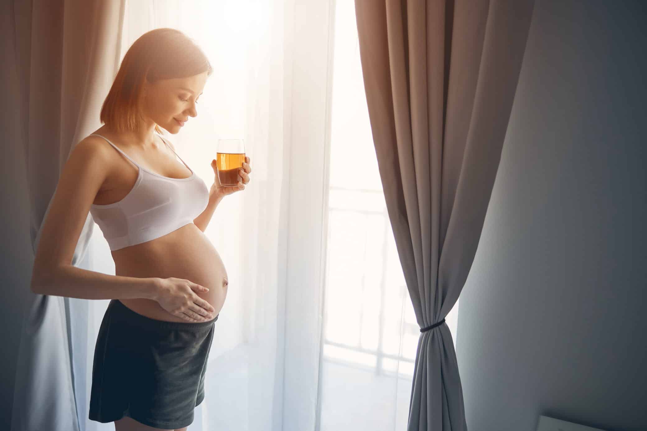 Young Future Mother Standing Near The Window At Home